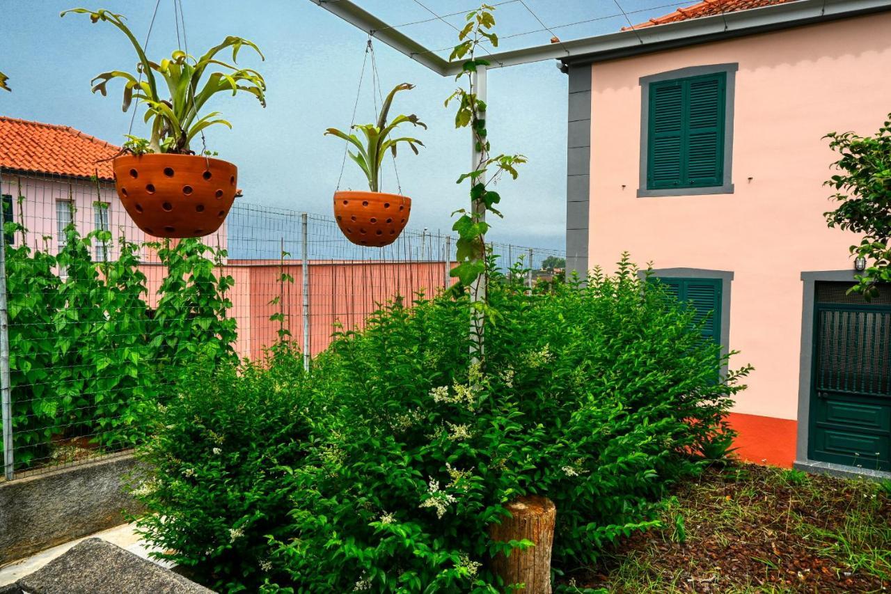 Os Ferreirinhos, A Home In Madeira ساو خورخي المظهر الخارجي الصورة