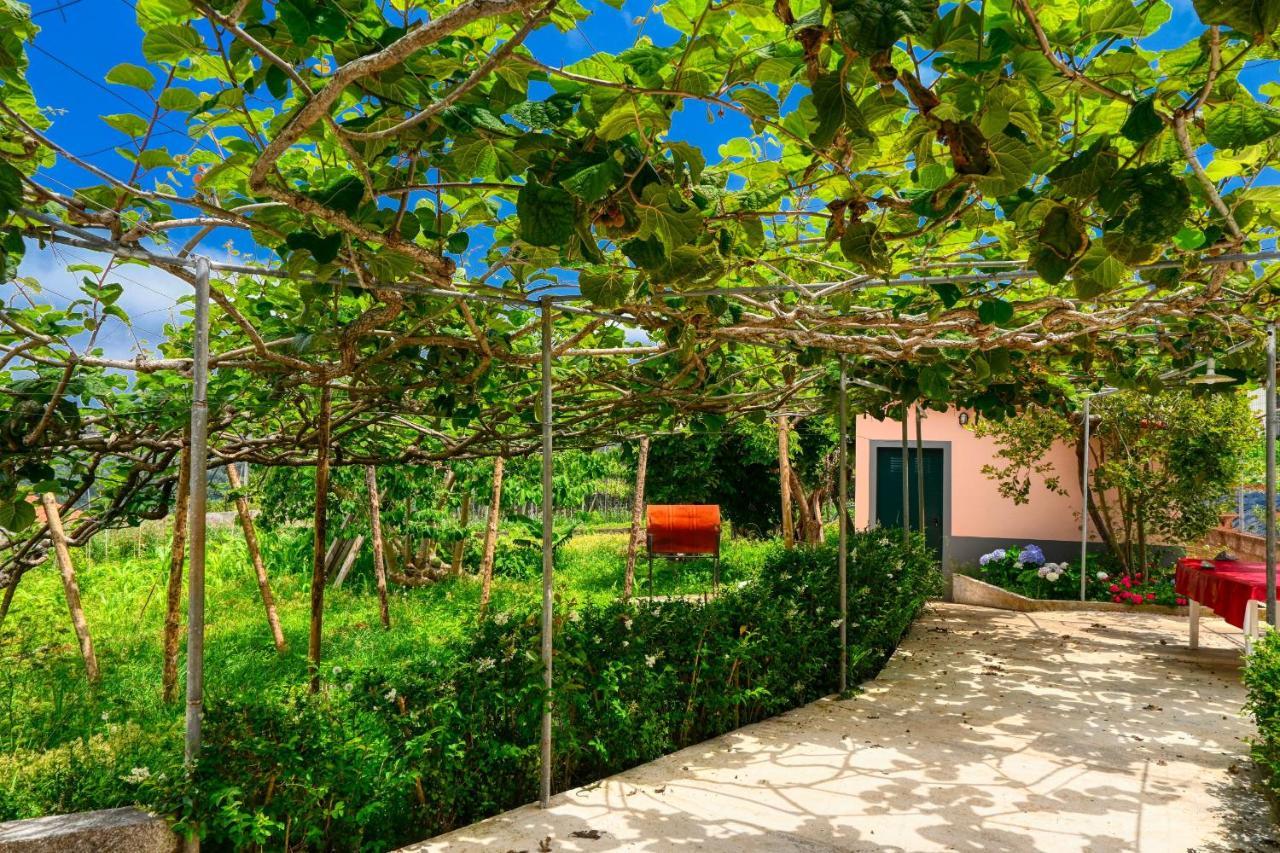 Os Ferreirinhos, A Home In Madeira ساو خورخي المظهر الخارجي الصورة
