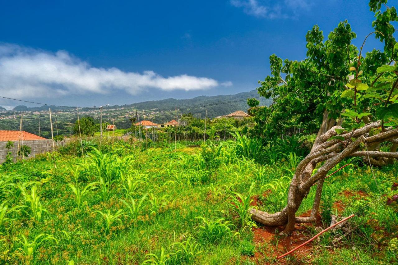 Os Ferreirinhos, A Home In Madeira ساو خورخي المظهر الخارجي الصورة